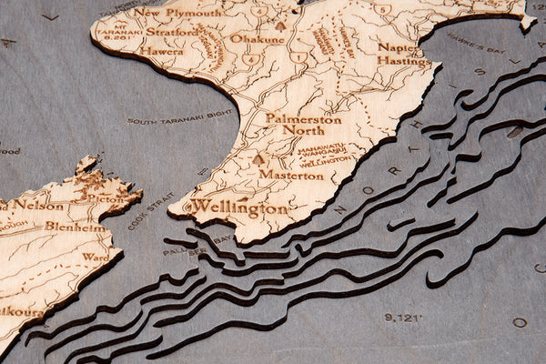 Close up of Topography Details on New Zealand Map