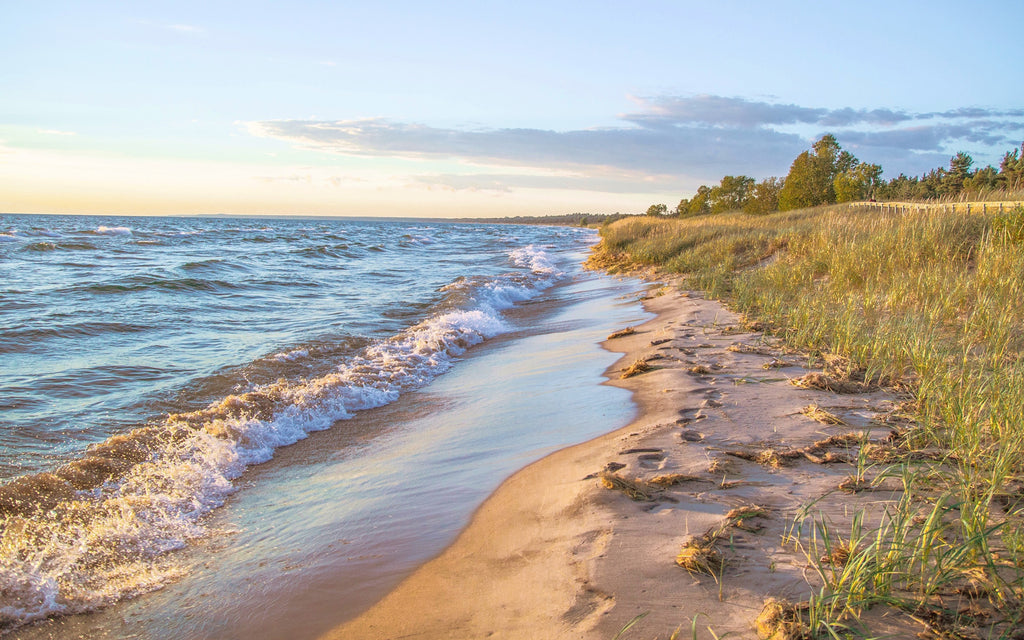 9 Coastal States with Stunning Wood Maps