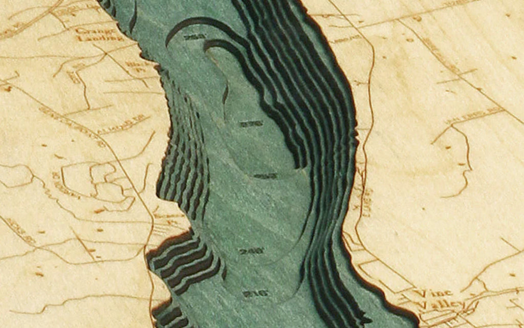 Charting the Diverse State of New York with Wood Maps