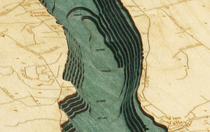 Charting the Diverse State of New York with Wood Maps