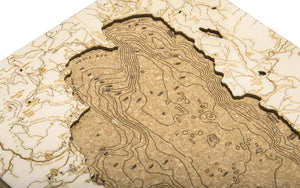 Our 5 Favorite Cork Maps