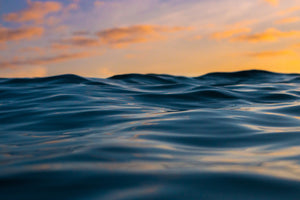 International Sea Seeing