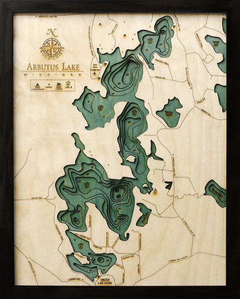 3-D Wood Chart of Arbutus Lake (Traverse), Michigan using green and light colored wood in frame on black background