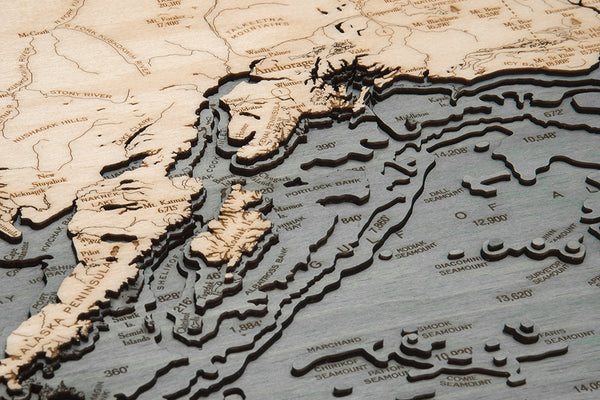 zoomed in image of 3-d Alaskan wood chart