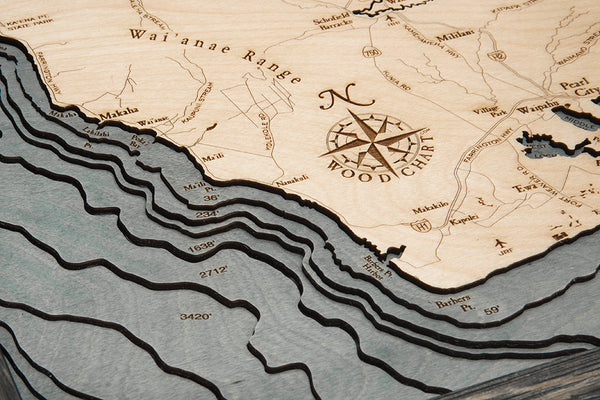  Topography Detail on 3-D Wood Chart Hawaiian Islands Maui Map