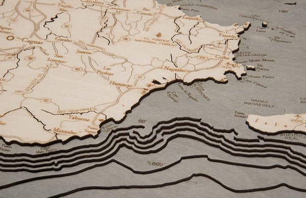Topography Details of Puerto Rico Wood Map
