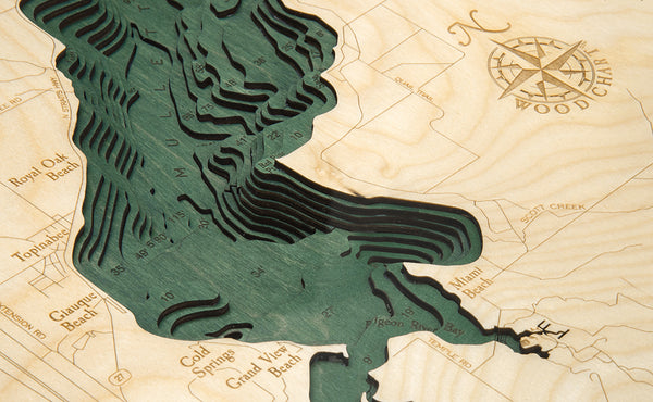 Burt and Mullett Lake wood chart map made using green and natural wood up close