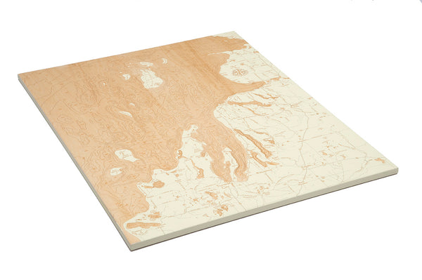 Lower Northwest Michigan Wood Map "Fire & Birch" Series in Antique White