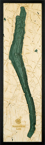 Map of Skaneateles Lake, New York 3-D Nautical Wood Chart